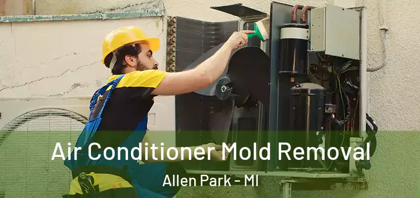 Air Conditioner Mold Removal Allen Park - MI
