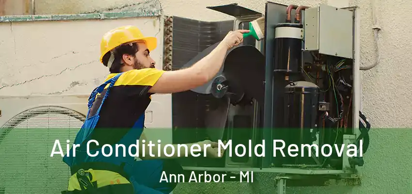  Air Conditioner Mold Removal Ann Arbor - MI
