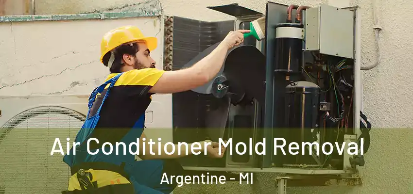 Air Conditioner Mold Removal Argentine - MI