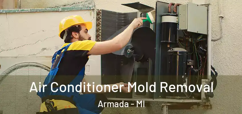  Air Conditioner Mold Removal Armada - MI