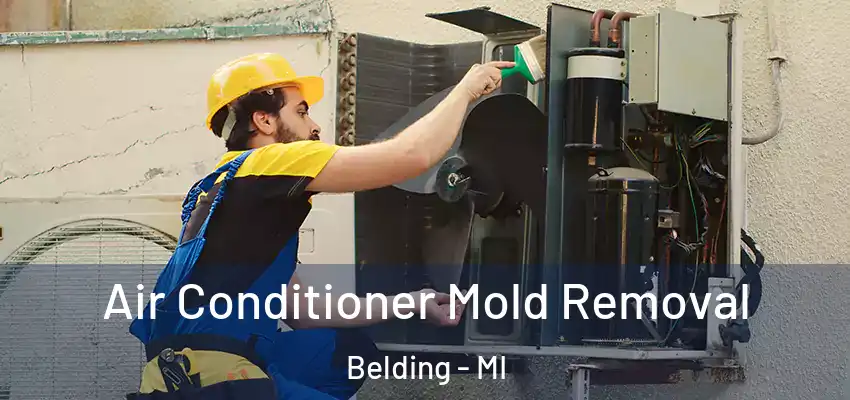  Air Conditioner Mold Removal Belding - MI