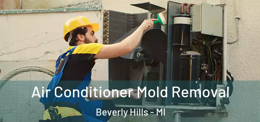 Air Conditioner Mold Removal Beverly Hills - MI