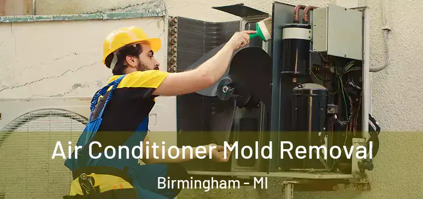 Air Conditioner Mold Removal Birmingham - MI