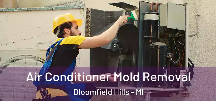 Air Conditioner Mold Removal Bloomfield Hills - MI