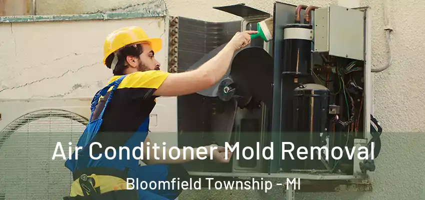 Air Conditioner Mold Removal Bloomfield Township - MI