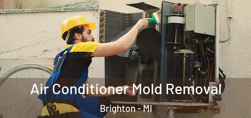  Air Conditioner Mold Removal Brighton - MI