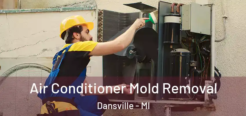  Air Conditioner Mold Removal Dansville - MI