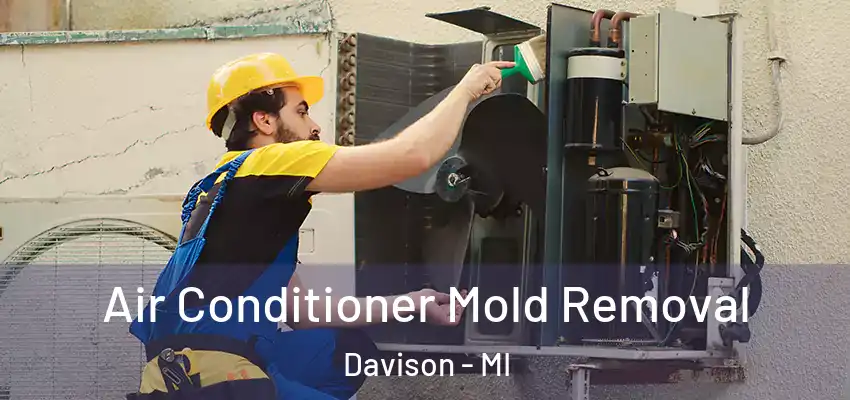  Air Conditioner Mold Removal Davison - MI