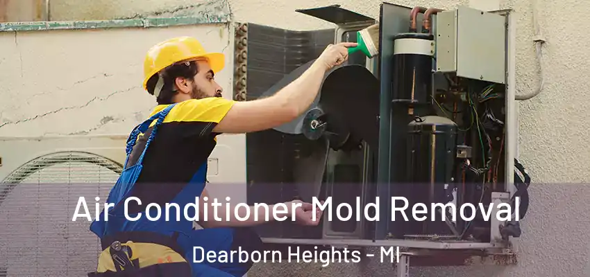  Air Conditioner Mold Removal Dearborn Heights - MI