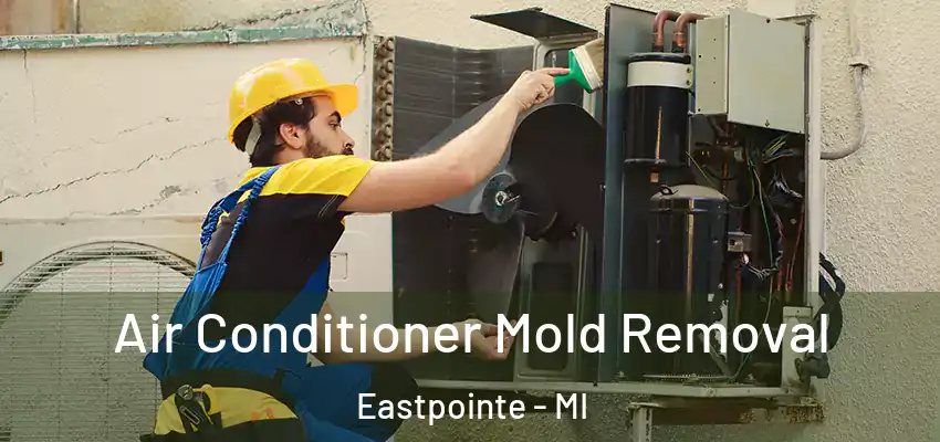 Air Conditioner Mold Removal Eastpointe - MI