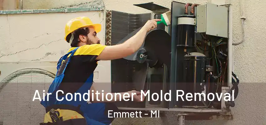 Air Conditioner Mold Removal Emmett - MI