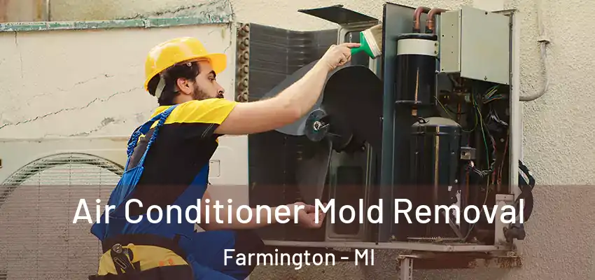 Air Conditioner Mold Removal Farmington - MI