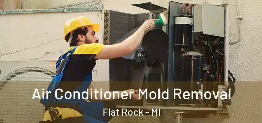  Air Conditioner Mold Removal Flat Rock - MI