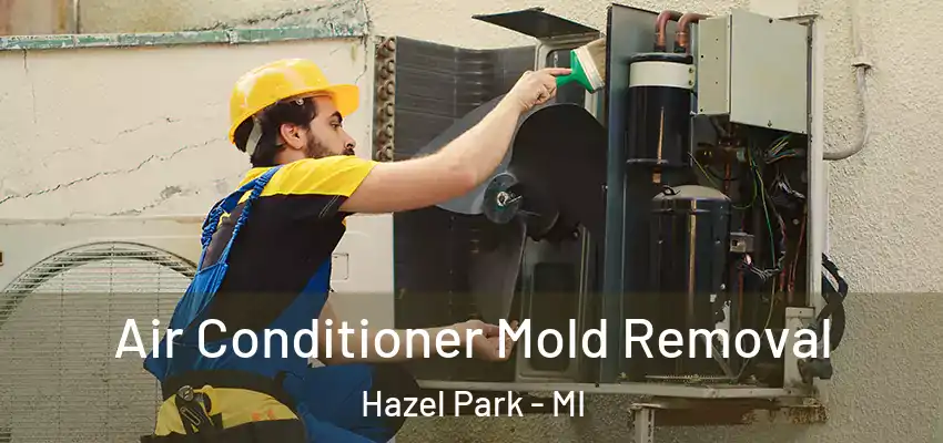  Air Conditioner Mold Removal Hazel Park - MI