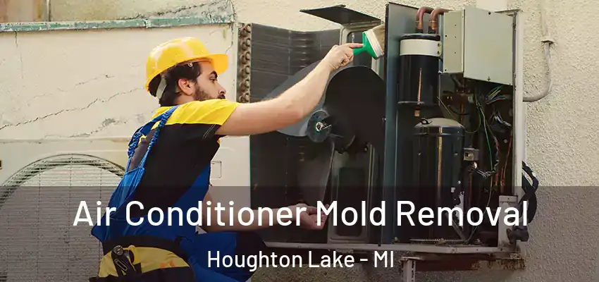  Air Conditioner Mold Removal Houghton Lake - MI