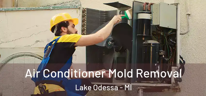  Air Conditioner Mold Removal Lake Odessa - MI