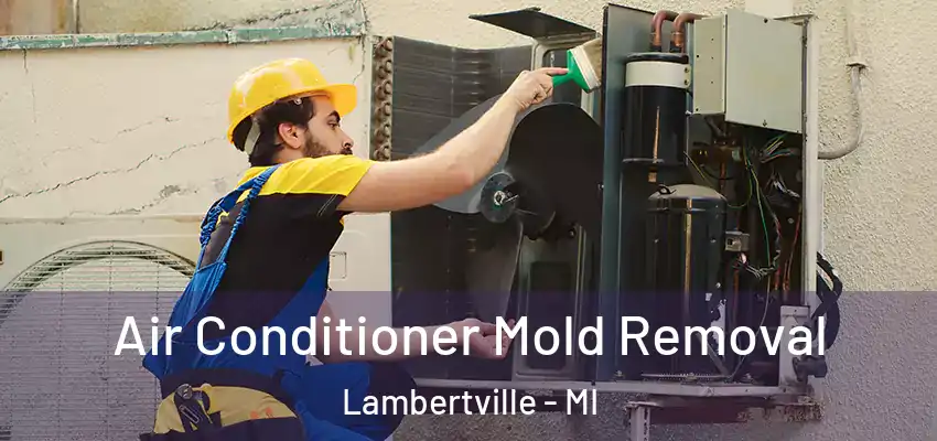  Air Conditioner Mold Removal Lambertville - MI