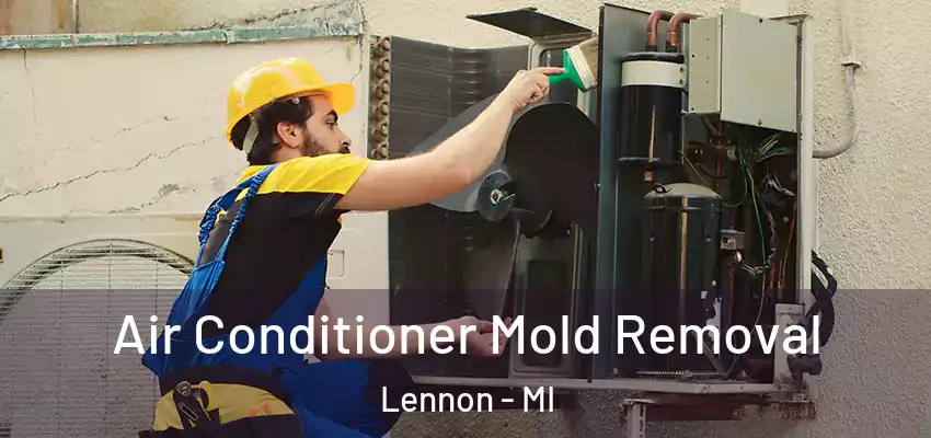  Air Conditioner Mold Removal Lennon - MI