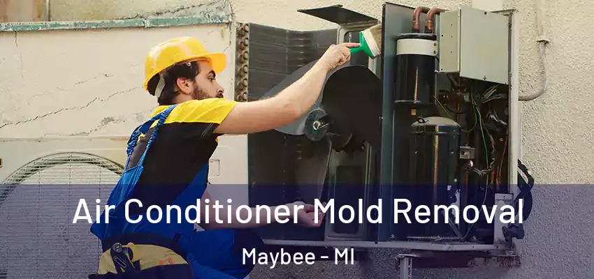  Air Conditioner Mold Removal Maybee - MI