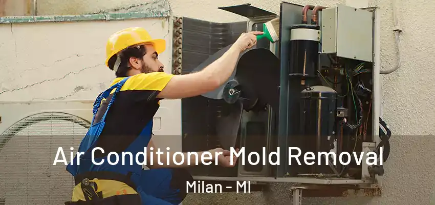 Air Conditioner Mold Removal Milan - MI