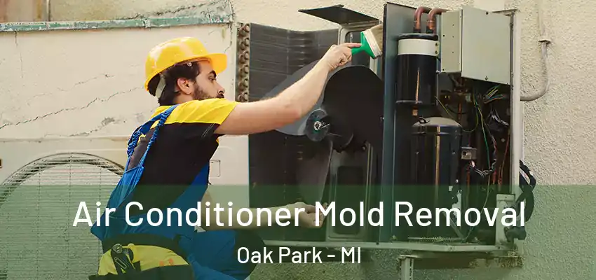 Air Conditioner Mold Removal Oak Park - MI