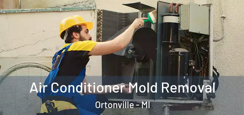  Air Conditioner Mold Removal Ortonville - MI