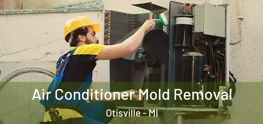  Air Conditioner Mold Removal Otisville - MI