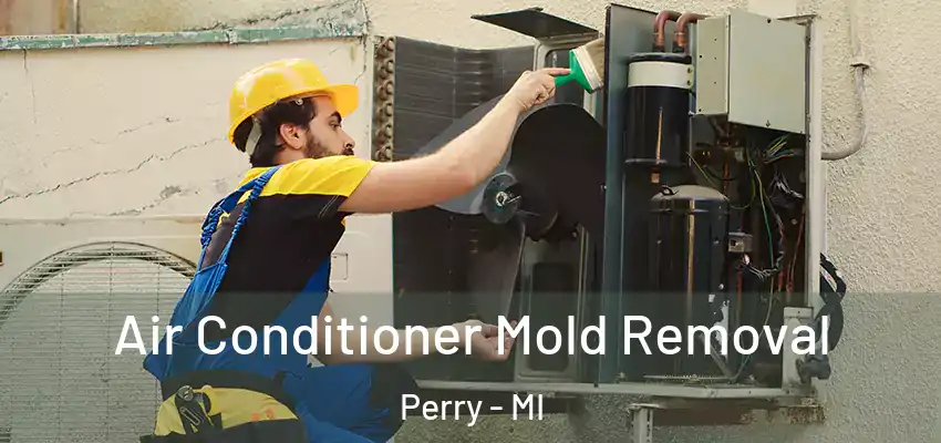  Air Conditioner Mold Removal Perry - MI