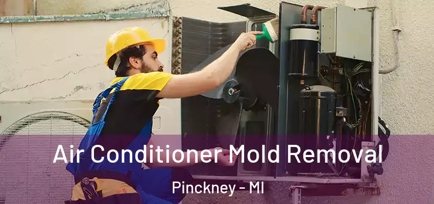  Air Conditioner Mold Removal Pinckney - MI