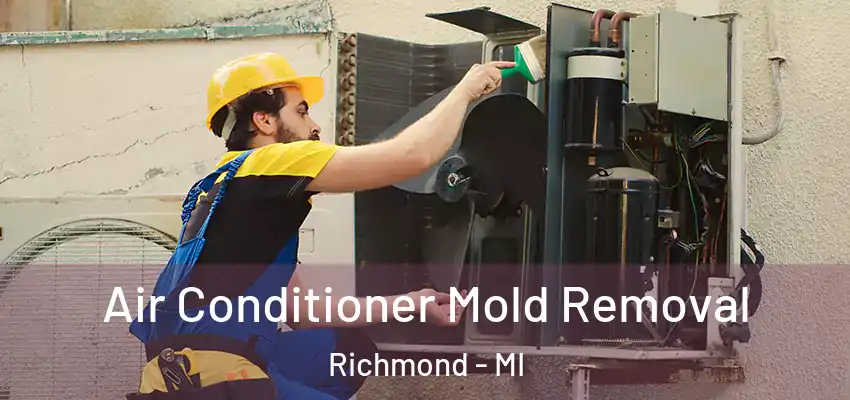  Air Conditioner Mold Removal Richmond - MI