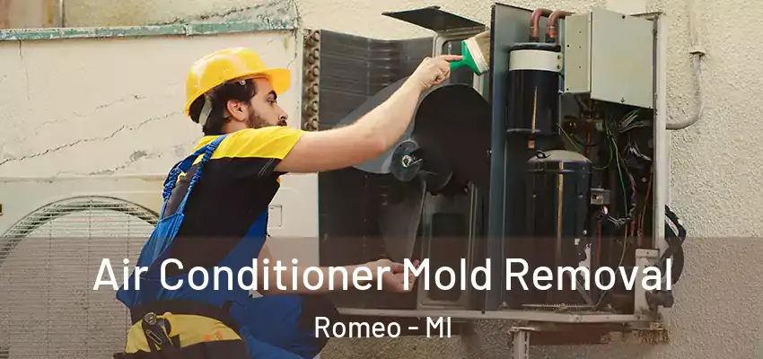  Air Conditioner Mold Removal Romeo - MI