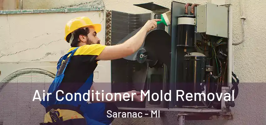  Air Conditioner Mold Removal Saranac - MI
