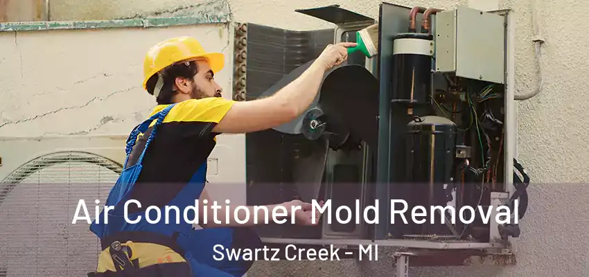  Air Conditioner Mold Removal Swartz Creek - MI