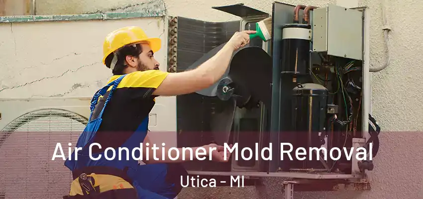 Air Conditioner Mold Removal Utica - MI