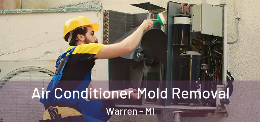  Air Conditioner Mold Removal Warren - MI