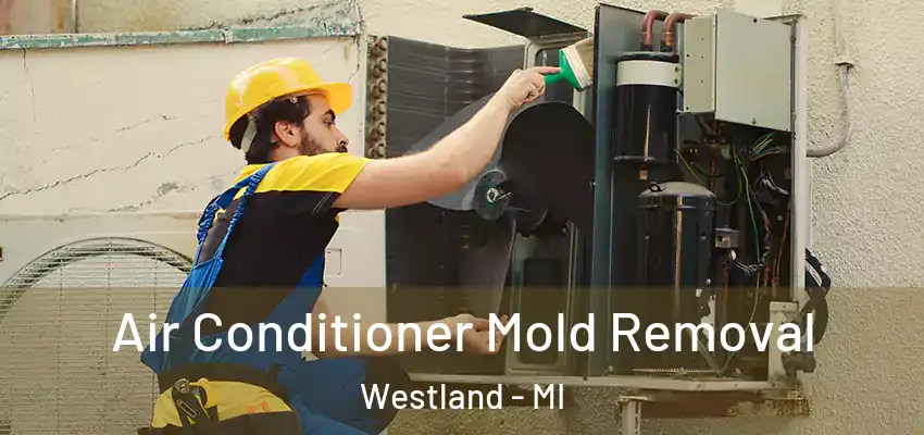  Air Conditioner Mold Removal Westland - MI