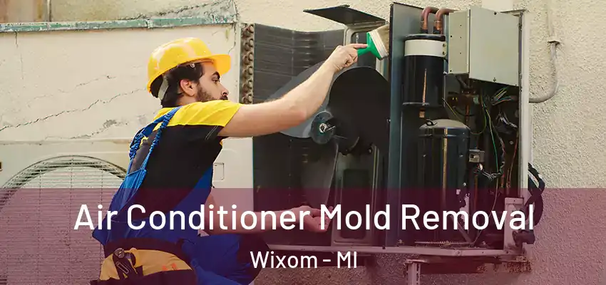  Air Conditioner Mold Removal Wixom - MI