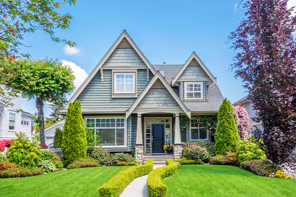 Black Mold Clean Up in Ann Arbor, MI