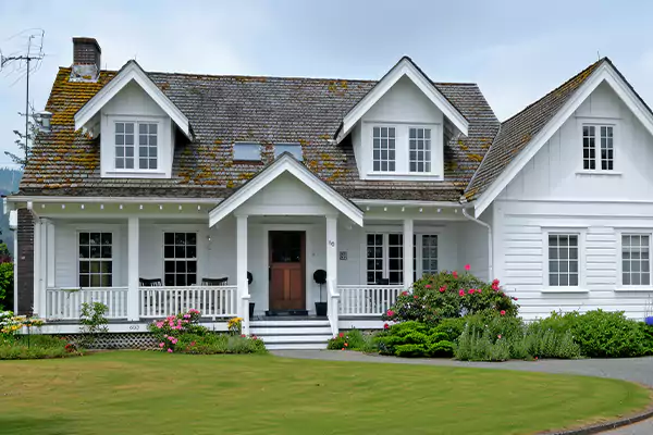 Mold Inspection Services in Ann Arbor, MI