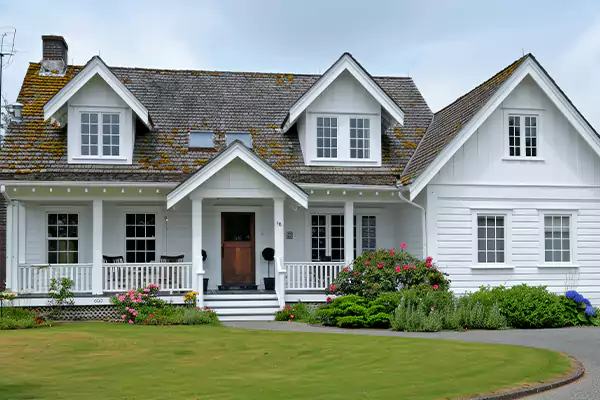 Mold Removal Services in Ann Arbor, MI