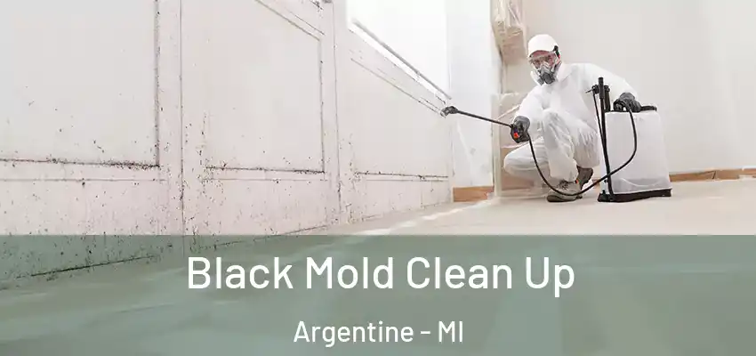  Black Mold Clean Up Argentine - MI