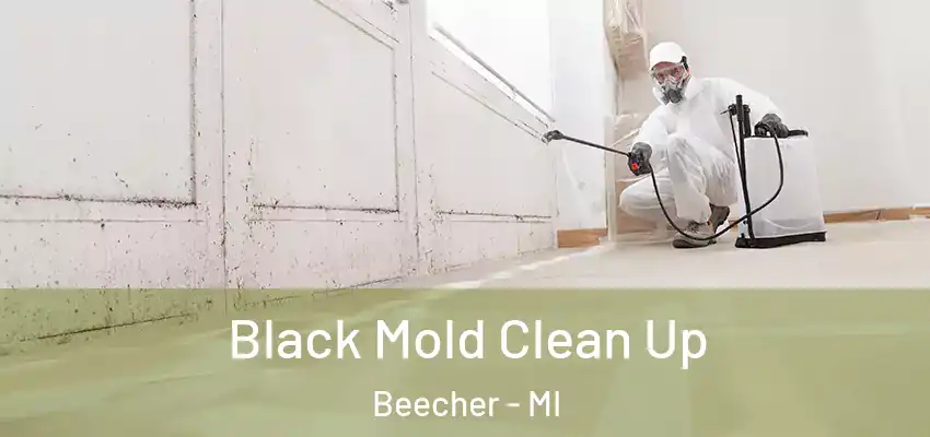  Black Mold Clean Up Beecher - MI