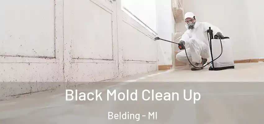  Black Mold Clean Up Belding - MI