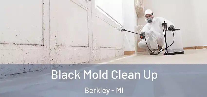  Black Mold Clean Up Berkley - MI