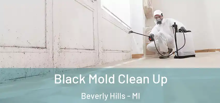  Black Mold Clean Up Beverly Hills - MI