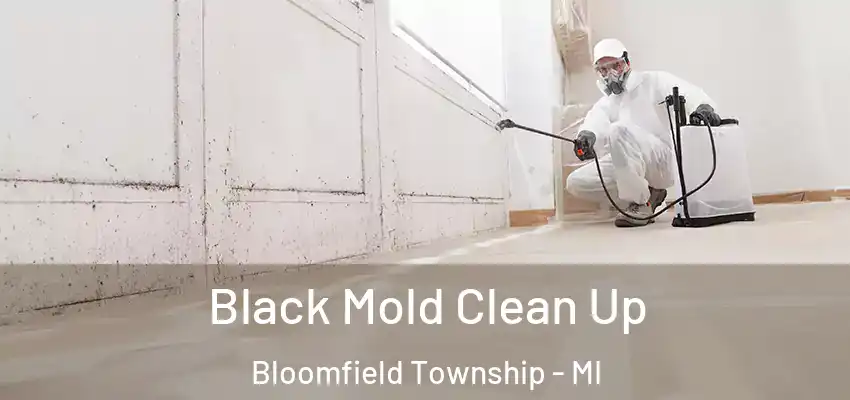 Black Mold Clean Up Bloomfield Township - MI