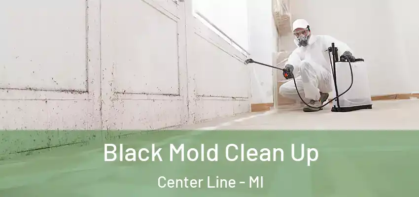 Black Mold Clean Up Center Line - MI