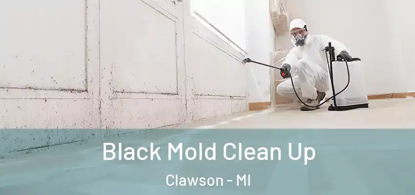  Black Mold Clean Up Clawson - MI