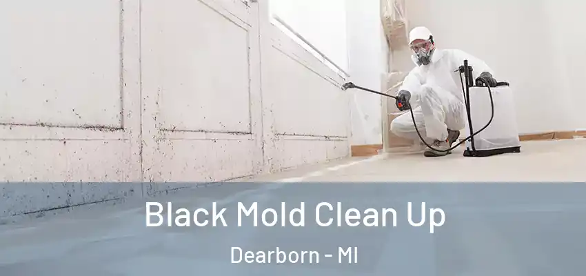  Black Mold Clean Up Dearborn - MI
