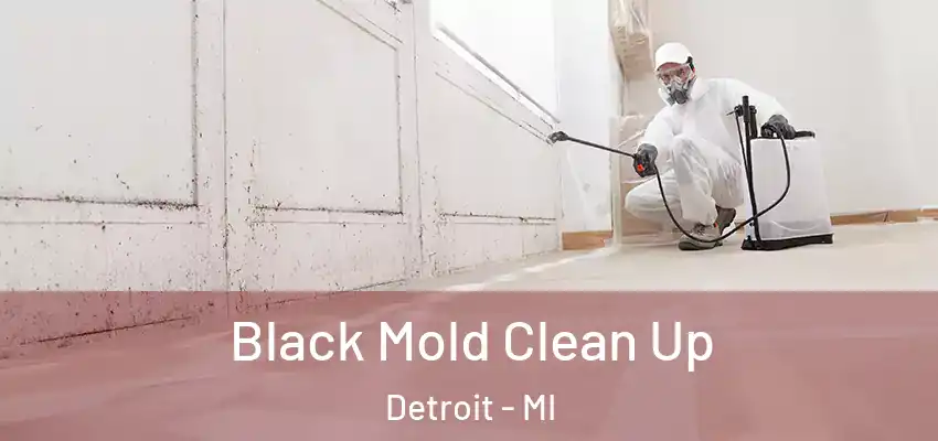 Black Mold Clean Up Detroit - MI
